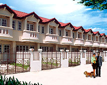 banner-project-details