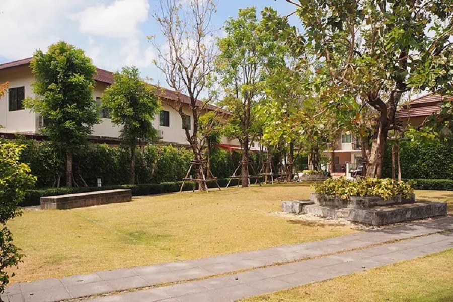 พฤกษาวิลล์-591-กะทู้-ป่าตอง